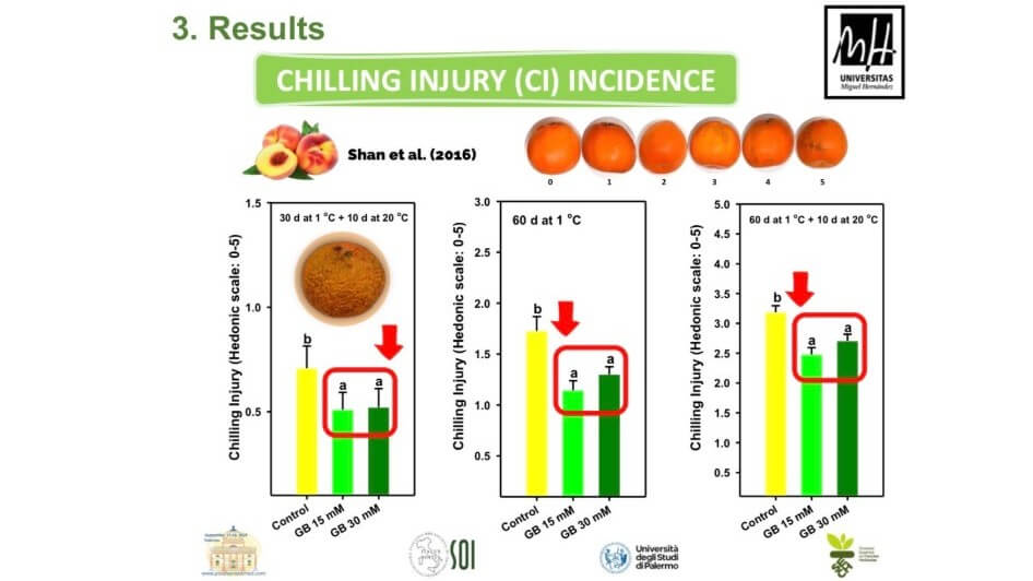 padilla principal bb.jpg